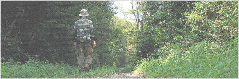 平尾山-迷走-～五葉城址-撤退-