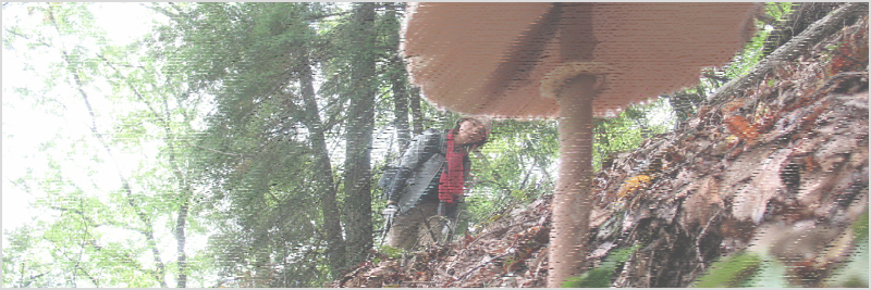 前大西山～大西山