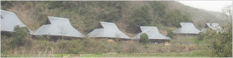 里山の自然学校 紀泉わいわい村（大阪府民の森ほりご園地）