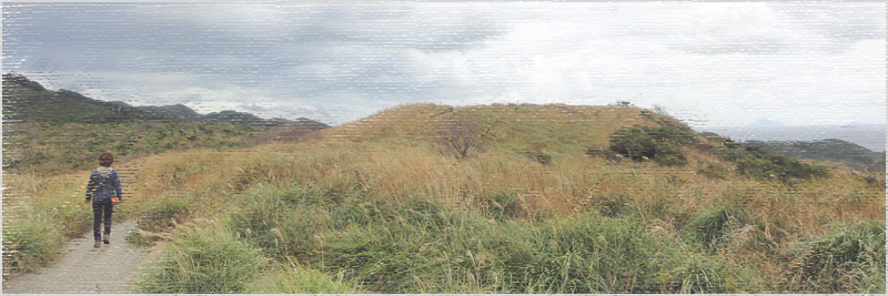 奥石廊崎ユウスゲ公園