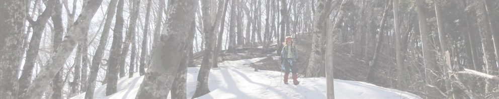 二階岳～木ノ実矢塚 ～薊岳～小屋ノ尾ノ頭～大鏡山