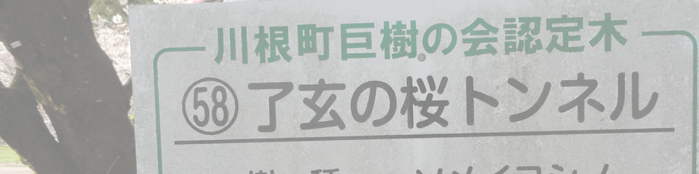 了玄の桜トンネル