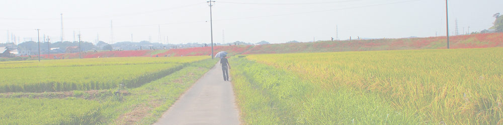 矢勝川の彼岸花