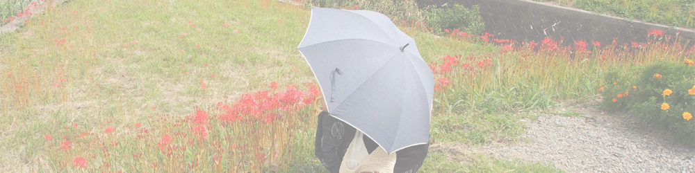 矢勝川の彼岸花