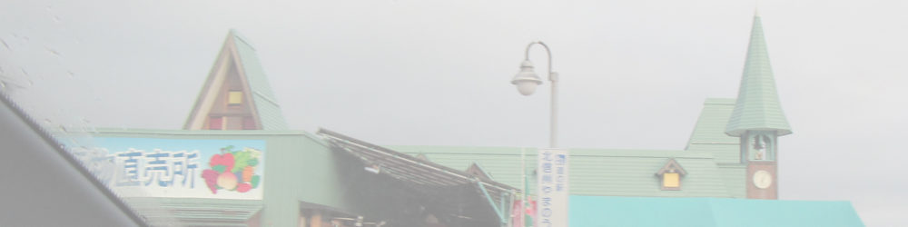 道の駅 北信州やまのうち