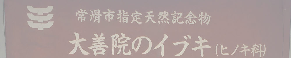 大善院とイブキ