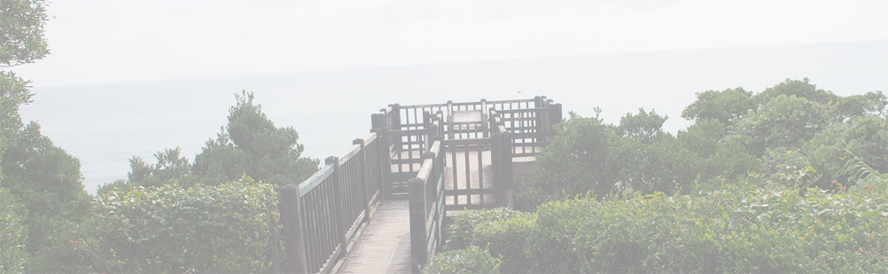 土佐西南大規模公園展望広場