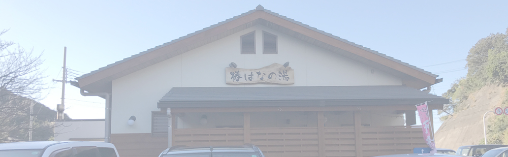 道の駅 椿はなの湯