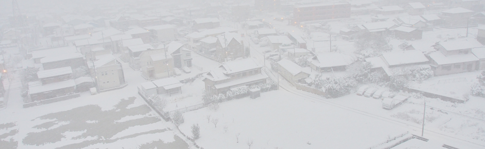 半田の雪景色