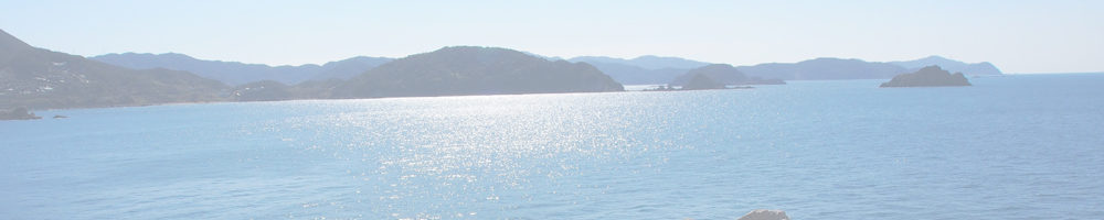 道の駅 白崎海洋公園