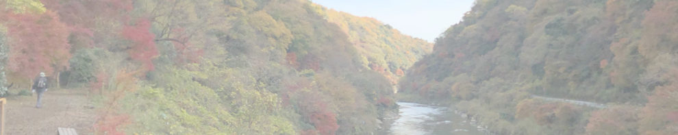 愛岐トンネル群