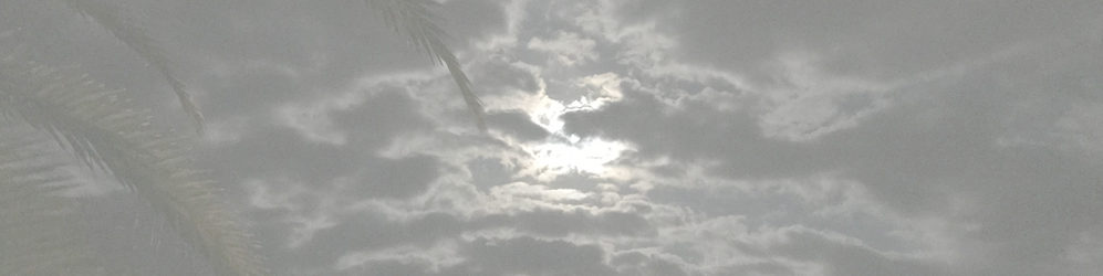 道の駅 伊東マリンタウン