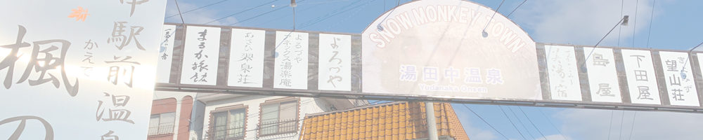 湯田中駅前温泉楓の湯