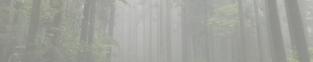 虫倉山登山口不動滝