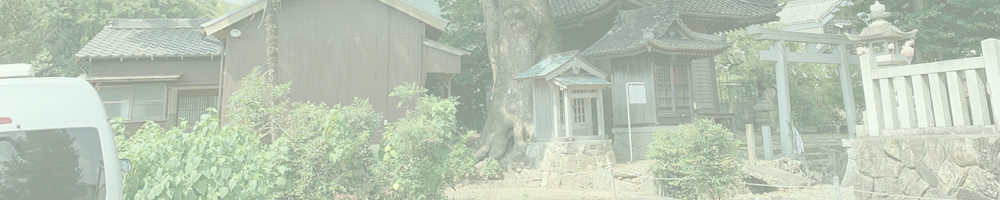 関川神社の楠