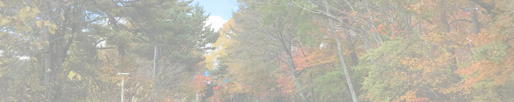 日本ロマンチック街道（軽井沢町～長野原町）