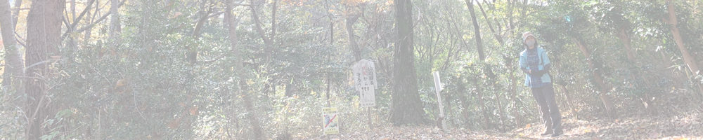 陰平山～表平山