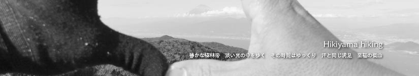 金冠山～小達磨山