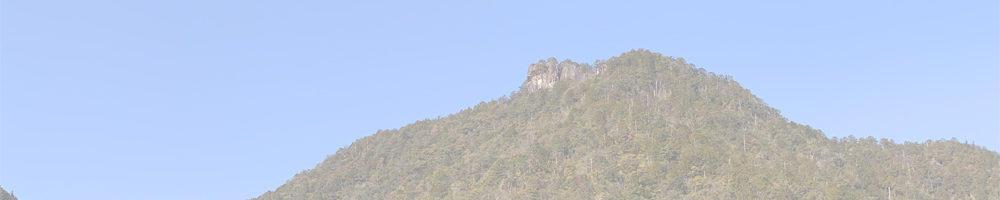 石雲寺の節分草