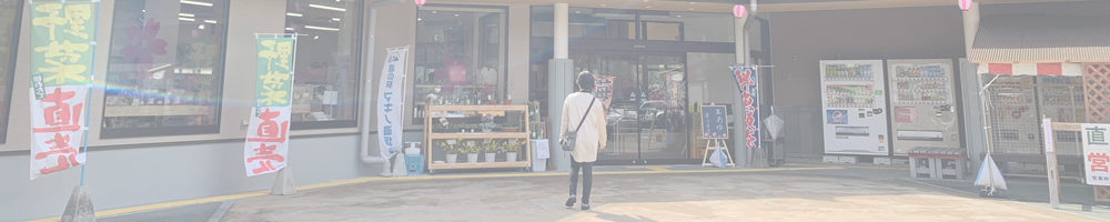 道の駅 マキノ追坂峠