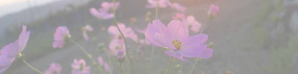 道の駅 雷電くるみの里