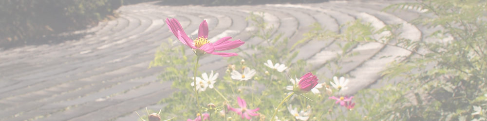 大王わさび農場