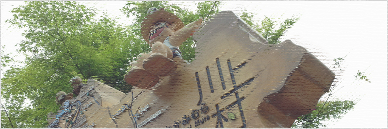 道の駅 杉の湯川上