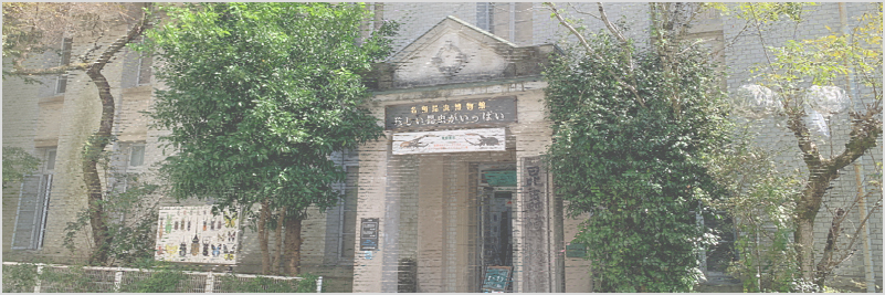 名和昆虫博物館