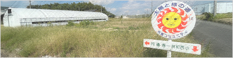 太陽と緑の道ハイク