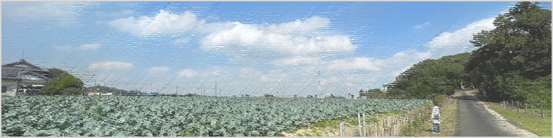子安神社（子安神社遺跡）