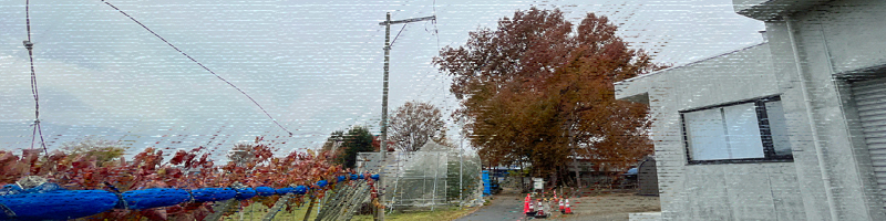 三恵の大ケヤキ