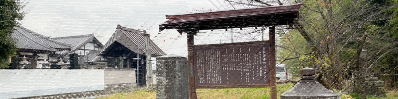 古長禅寺のビャクシン