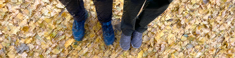 祐専寺とイチョウ