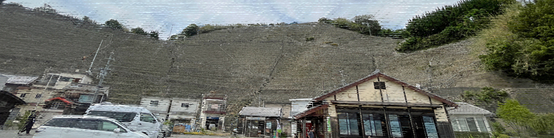 遊子水荷浦の段畑