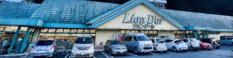 リオン・ドール 日光店