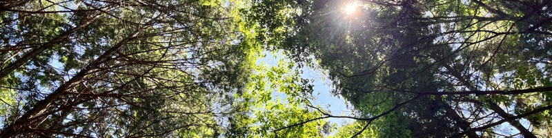 春日井市野外教育センター