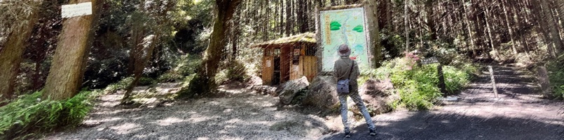 猿投山の球状花崗岩