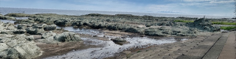 千畳敷海岸
