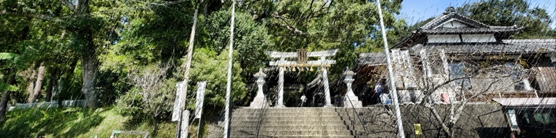 事任八幡宮と巨木達