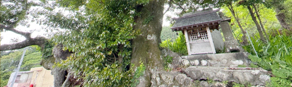 福田寺のイヌグス