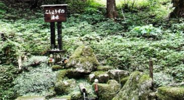 こしょうずの湧水と滝