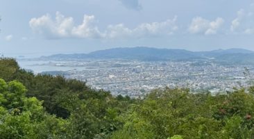 さがらの森〜砥神山東峰〜砥神山
