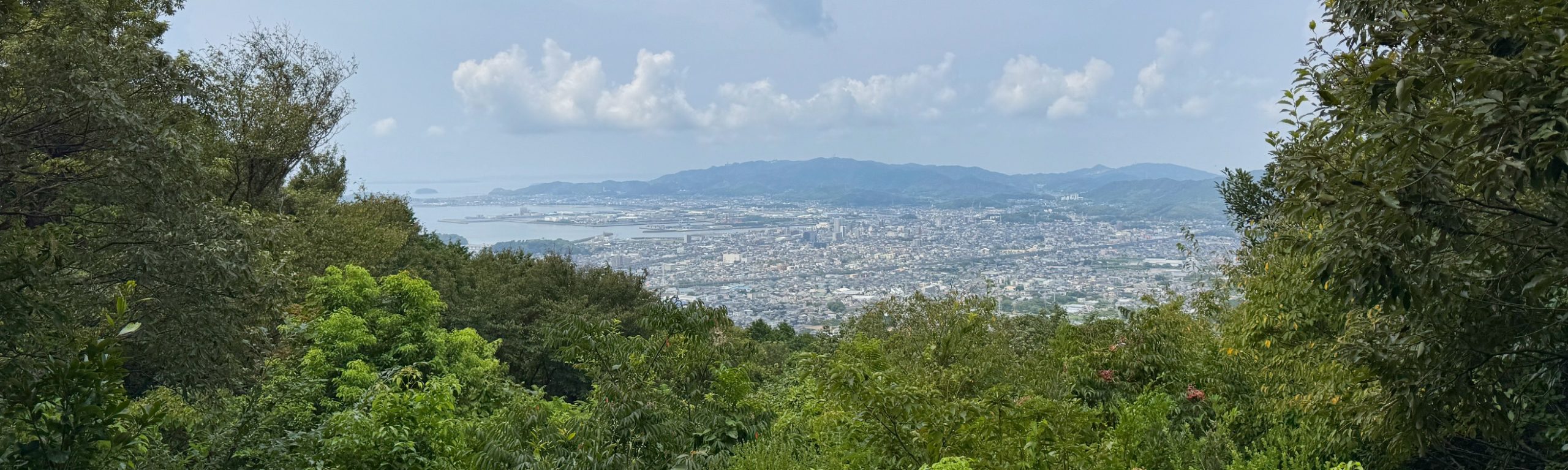さがらの森〜砥神山東峰〜砥神山