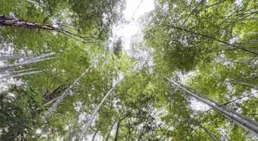 豊田市益富コース