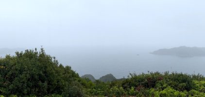 黒崎山（南海展望公園）