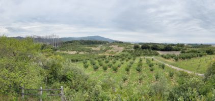 焼山みはらし台