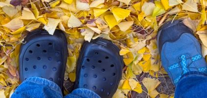八幡神社のイスノキ