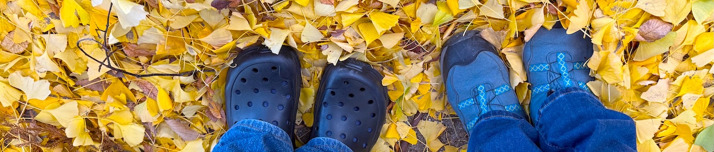 八幡神社のイスノキ