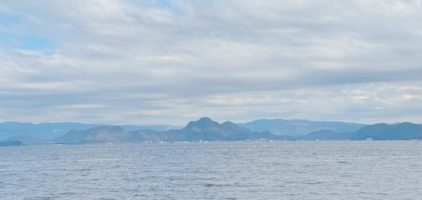 大瀬神社の御神木とビャクシン樹林