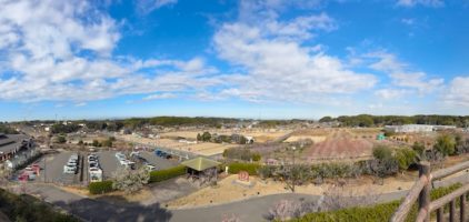 佐布里池 梅林公園